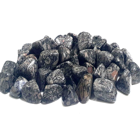 Wholesale Tumbled Semi Precious Stone Crystal - Crinoid Fossil Jasper