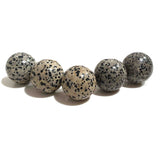 Wholesale Semi Precious Gemstone Crystal Spheres - Dalmatian Jasper