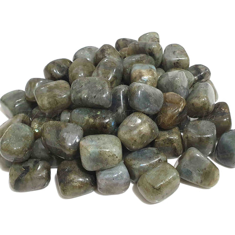 Wholesale Tumbled Semi Precious Stone Crystal - Labradorite