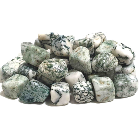 Wholesale Semi Precious Tumbled Tumbles Crystal Gemstones - Tree Agate